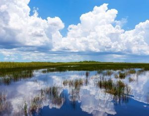 Everglades Florida