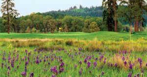 Mallard Creek Golf Course RVnGO