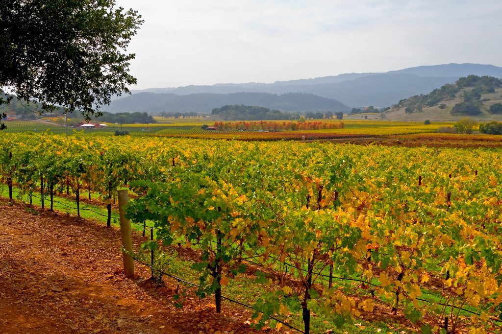 Sonoma Valley, California fall vacation ideas