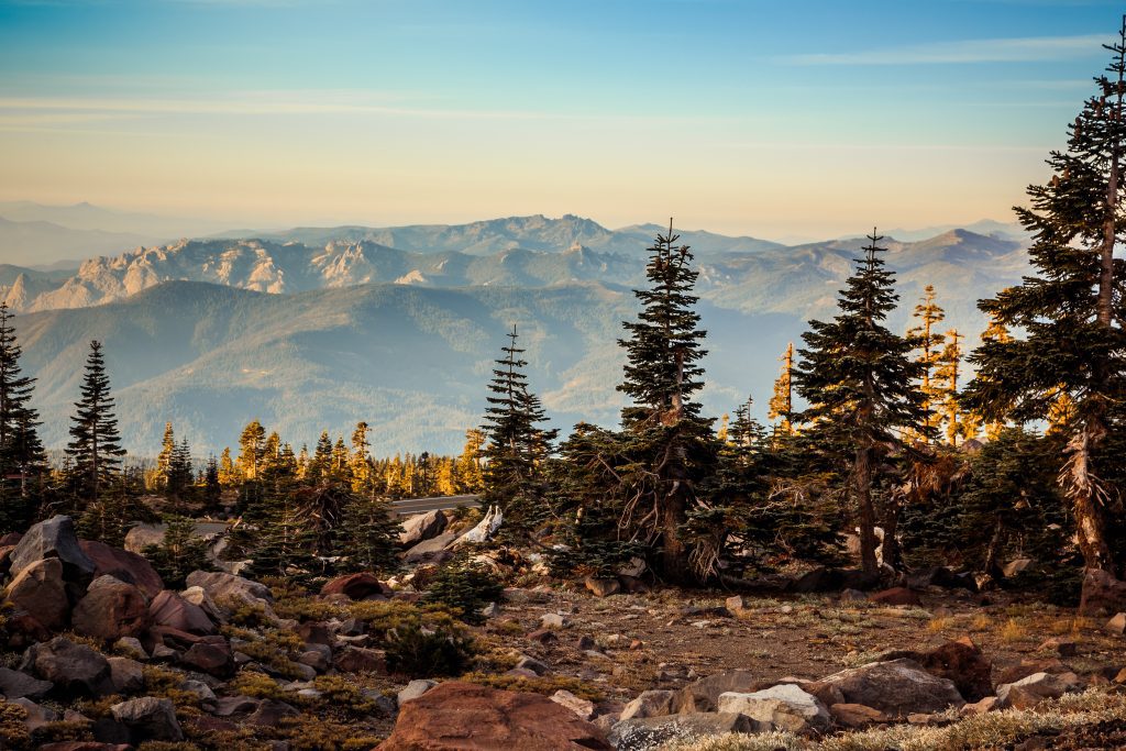 Ultramarathon at Butte Meadows