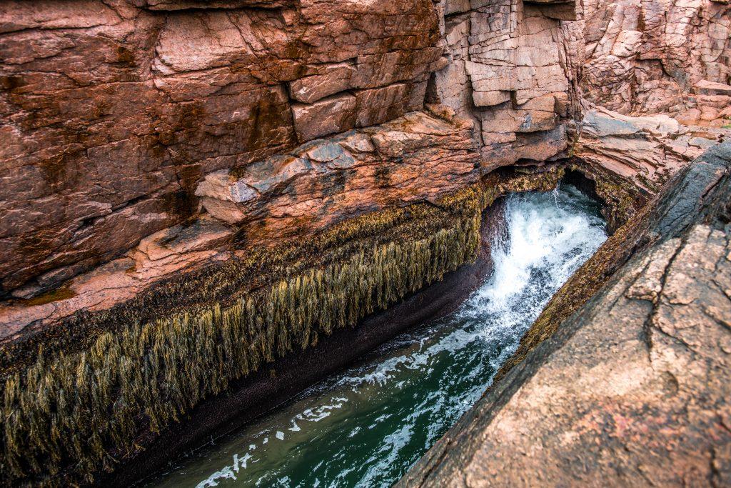 Thunder Hole Acadia