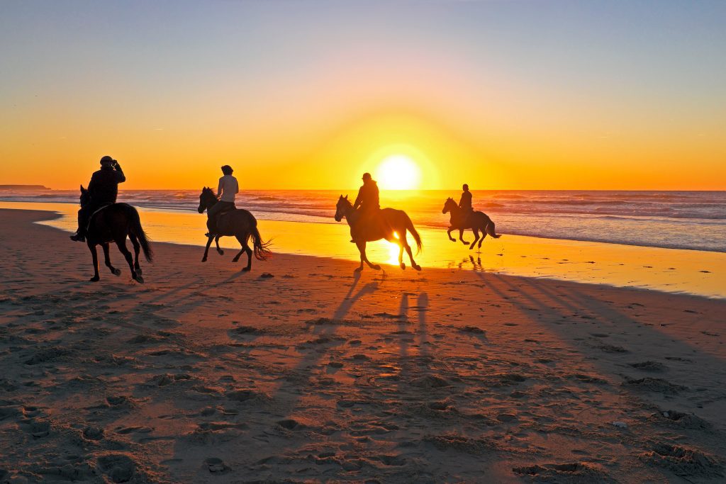 Ricochet Ridge Ranch sunset