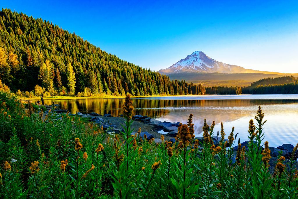 Trillium lake