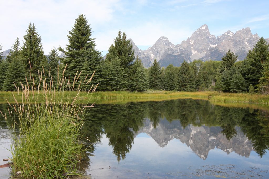 boondocking near Yellowstone National Park