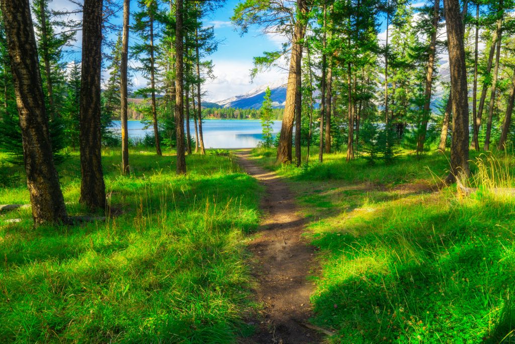 trails in lake tahoe