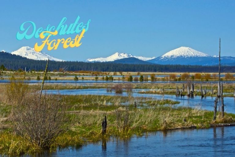 Deschutes National Forest in Oregon