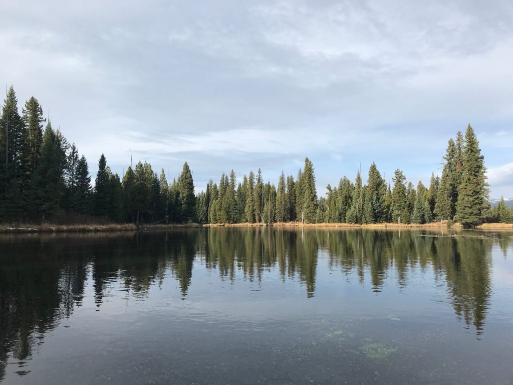 henry's lake boondocking campsite