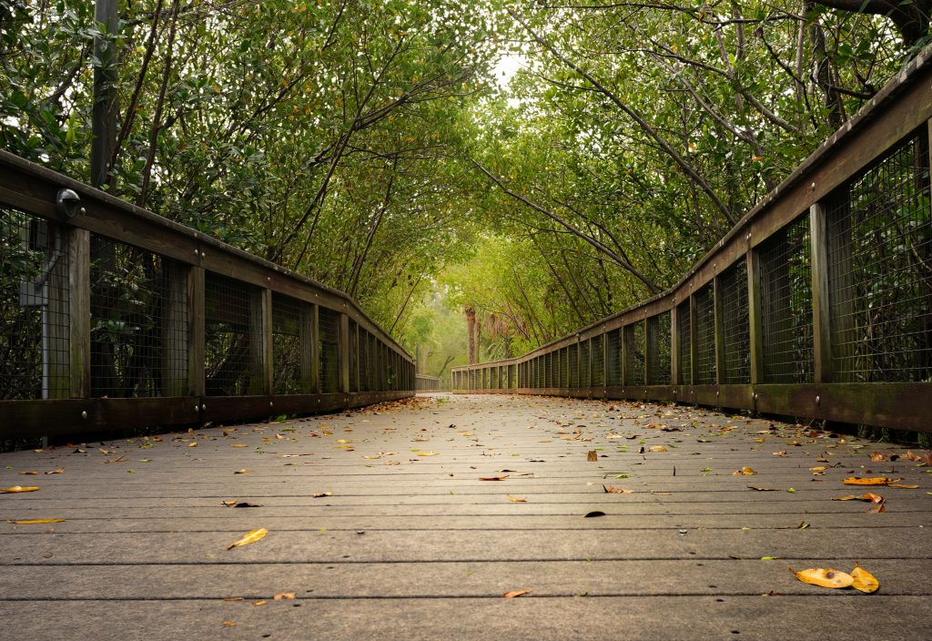 riverwalk boardwalk of florida's treasure coast