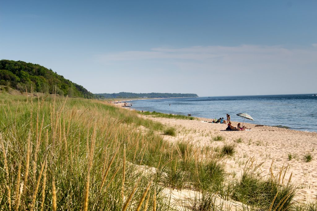 things to do near saugatuck