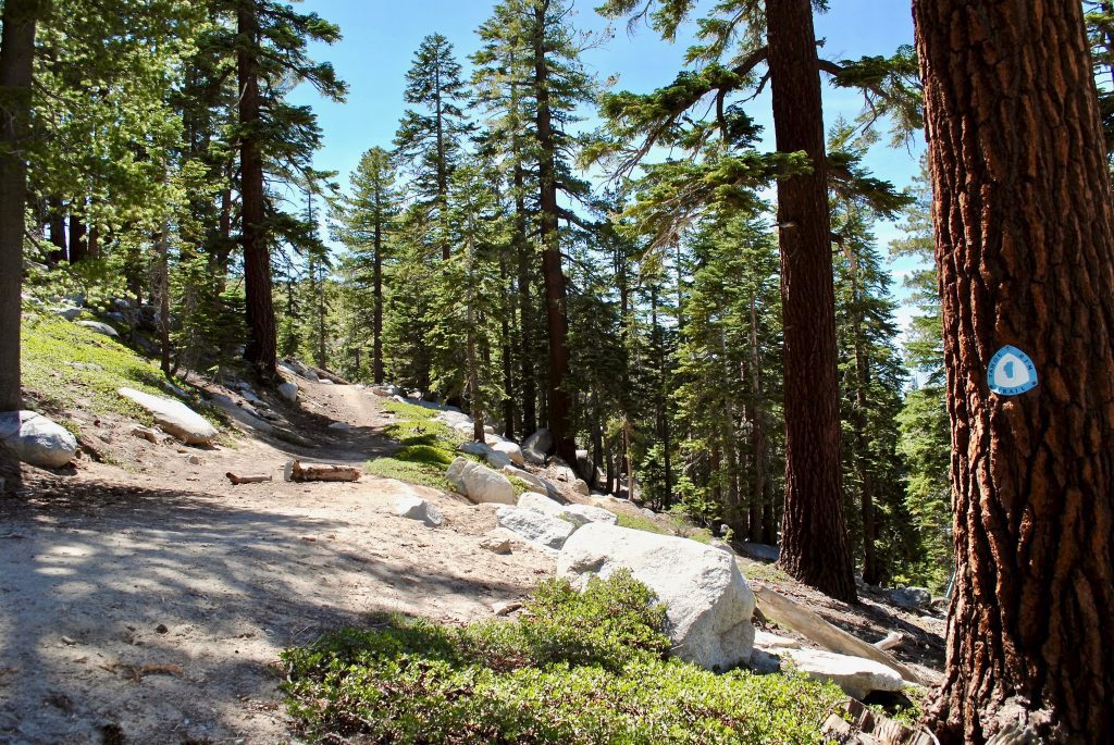 lake tahoe rim trail