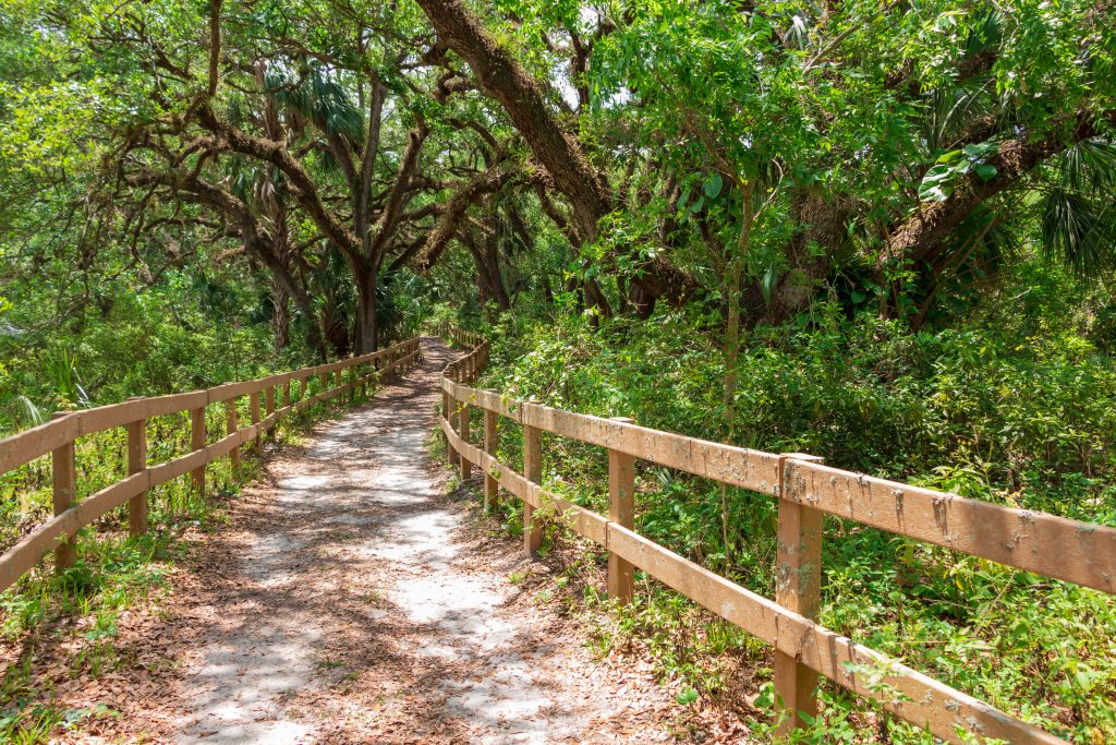 hiking path in florida keys