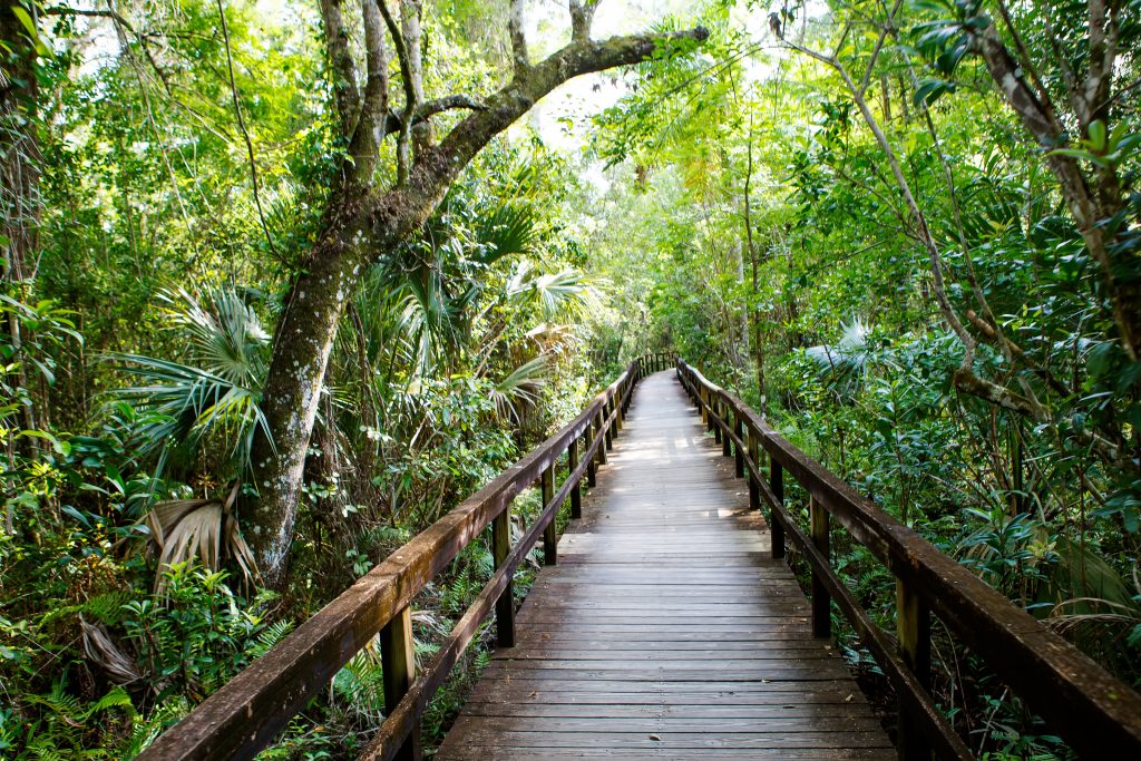 everglades hiking near miami