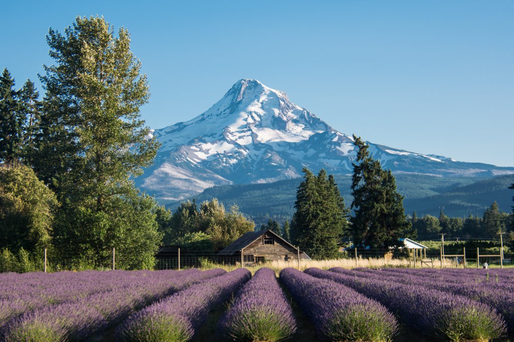 hood river oregon hidden gem destinations