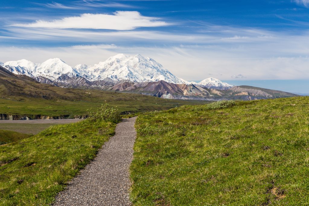 mount healy hiking trail in denali