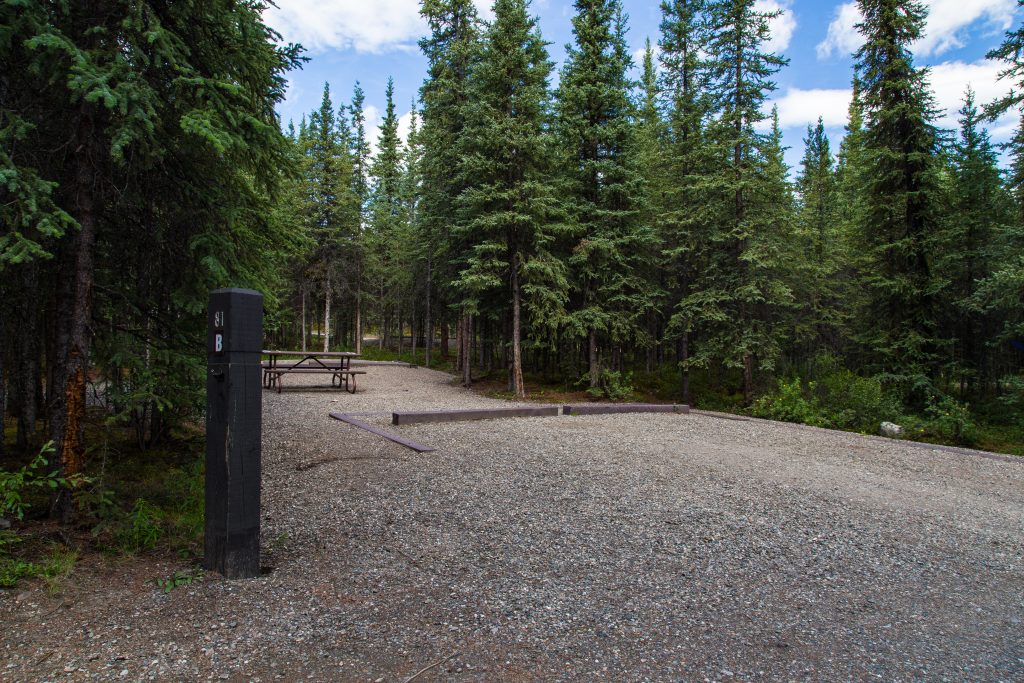 rv campground in denali national park