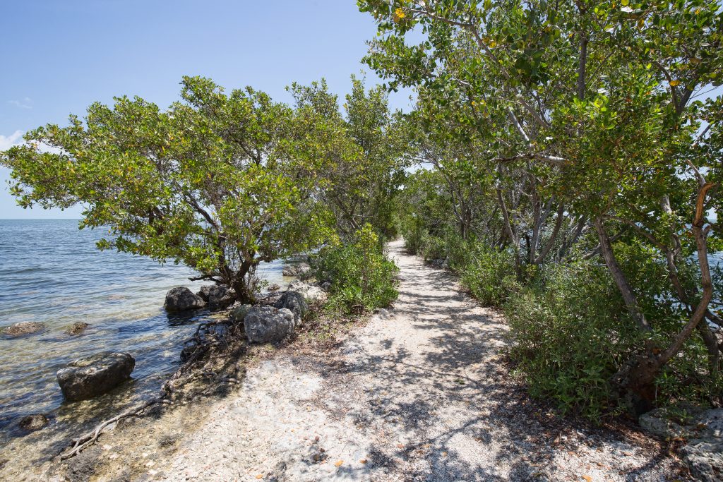 biscayne national park hiking trail near miami
