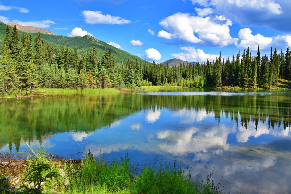 horseshoe lake hiking trail in denali