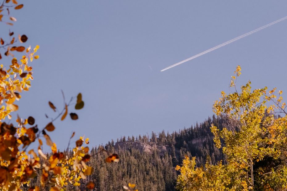 Mount Charleston during fall day trips from Las Vegas