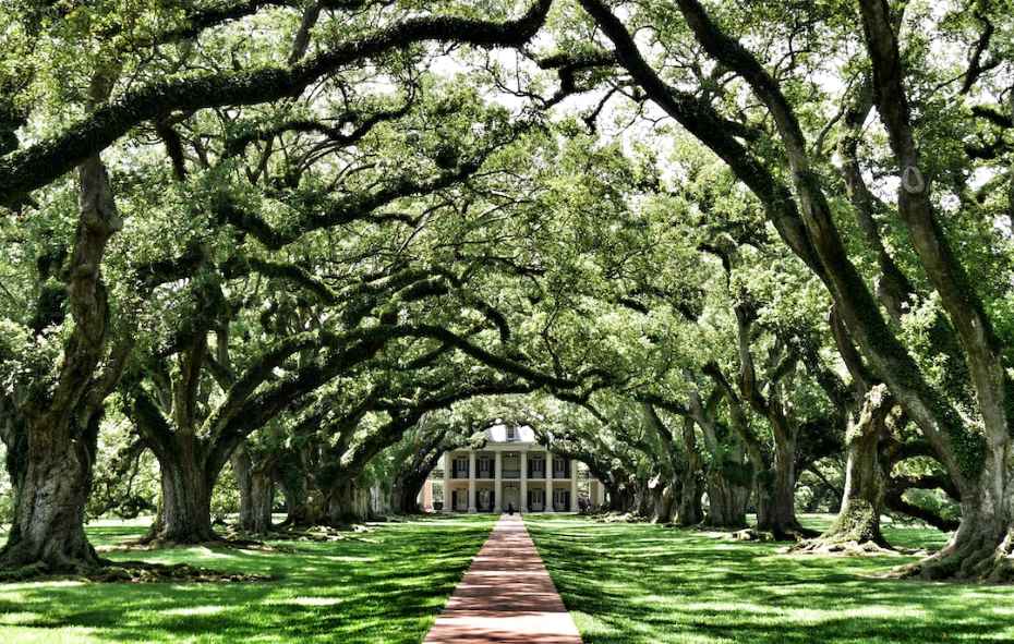 Whitney Plantation new orleans day trips