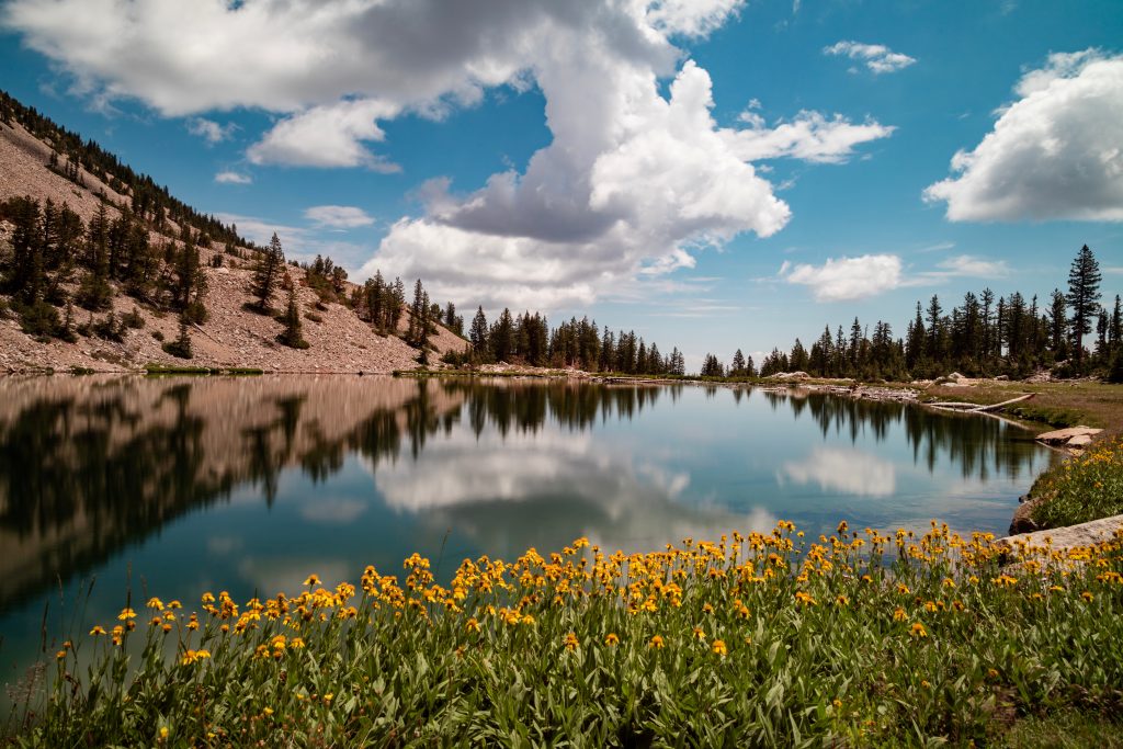 johnson lake hiking trail in great basin