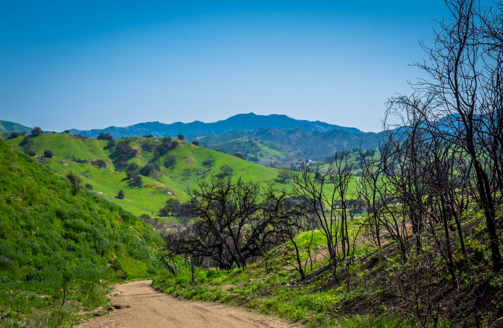 hikes in Santa Monica Mountains