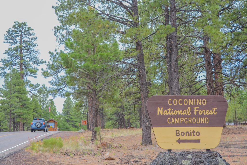 rv campgrounds near coconino