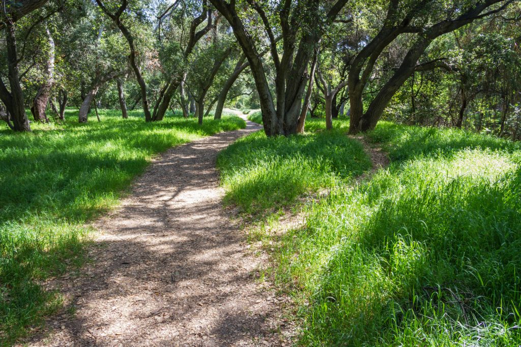 hikes in santa monica mountains