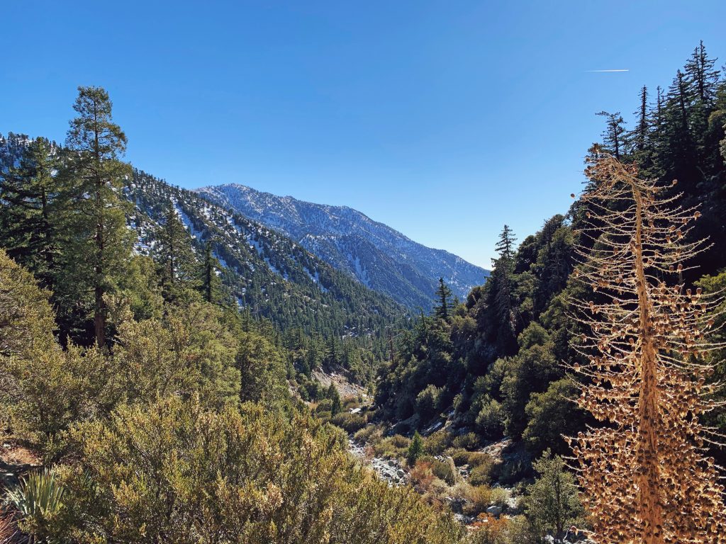 hiking trail