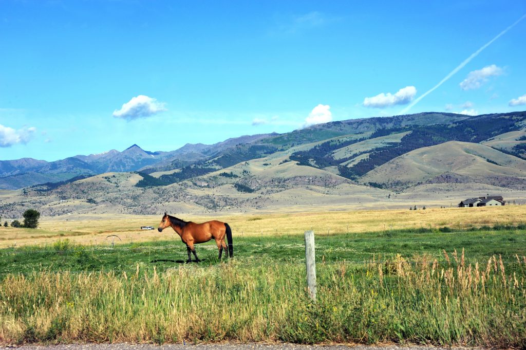 red lodge montana